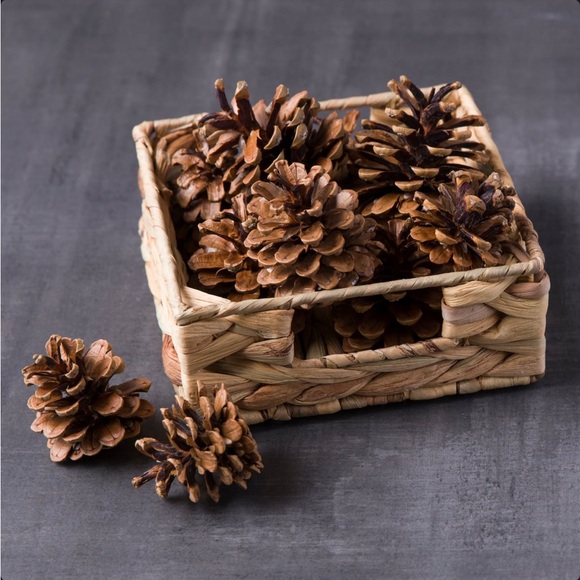 Pinecones Bag by Ashland Cinnamon Scented 3 Dry Quarts 10 pcs 2”-3” Each - Picture 2 of 3